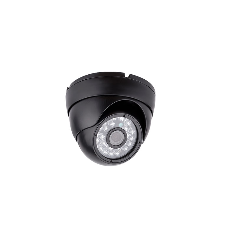 Inside Dome  Camera