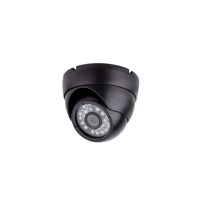 Inside Dome  Camera